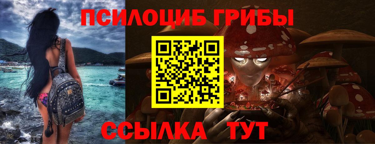 Псилоцибиновые грибы GOLDEN TEACHER Киселёвск