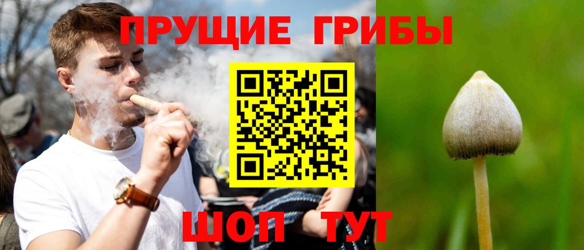 Киселёвск  Галлюциногенные грибы прущие грибы  где можно купить наркотик  Вход с VPN 